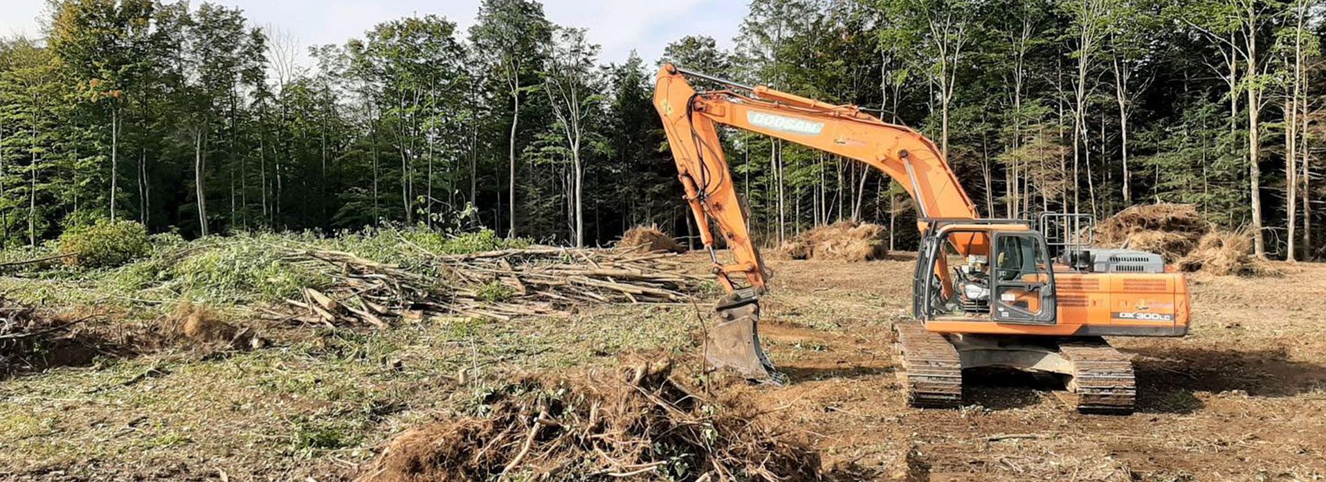 Land clearing